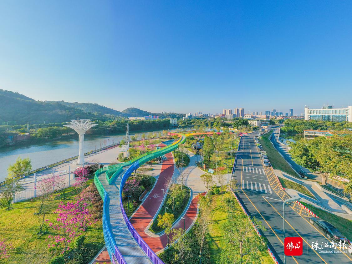顺德坚持以水美城、以水兴城,打造岭南水乡的顺德示范。 图为环境优美的顺德新城区航拍。珠江商报记者周焯杰摄.jpg