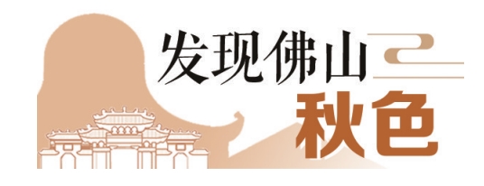 4a481eeab18a4100b4aa0bbbc133e012.png