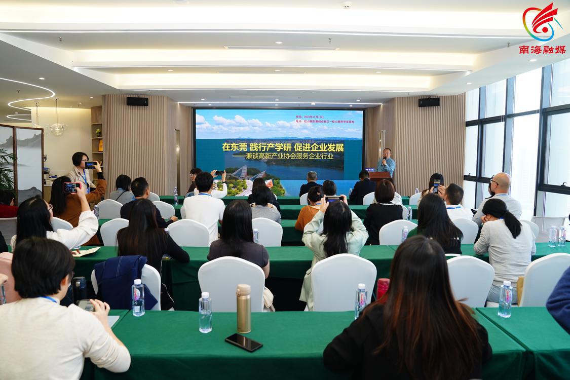 东莞市高新技术产业协会副秘书长、北京科技大学教授杨海波作演讲。通讯员供图。.jpg