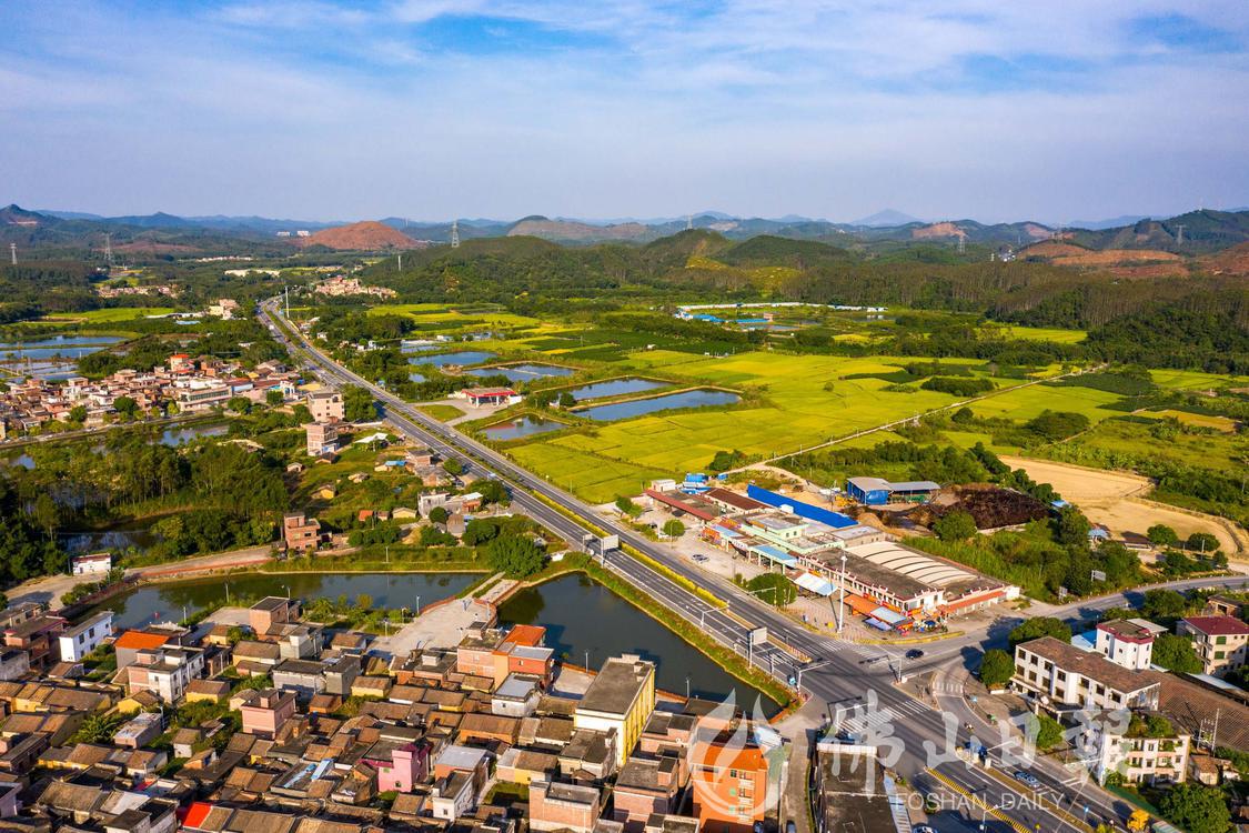 更合镇香山村。佛山日报记者洪海摄。(3586856)-20221118205107.jpg