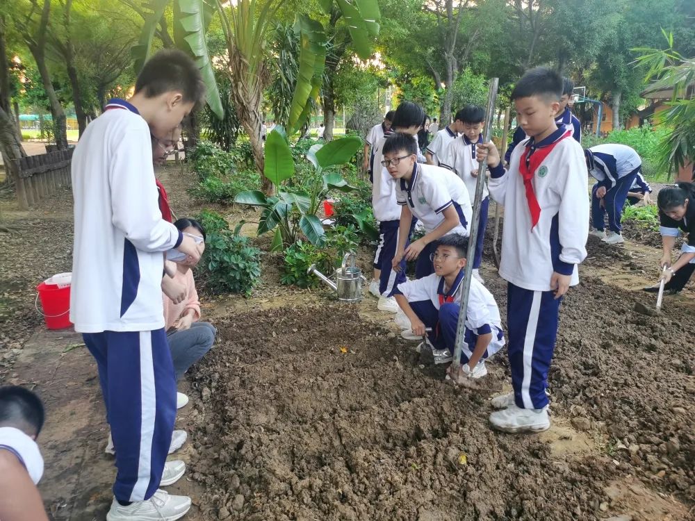 育贤实验学校:向光而行的十大亮点瞬间 | 2021顺德教育盘点