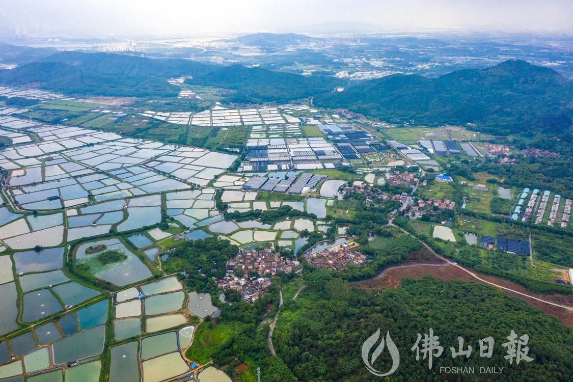 环境优美的石洲村。(5297630)-20230615202714.jpg
