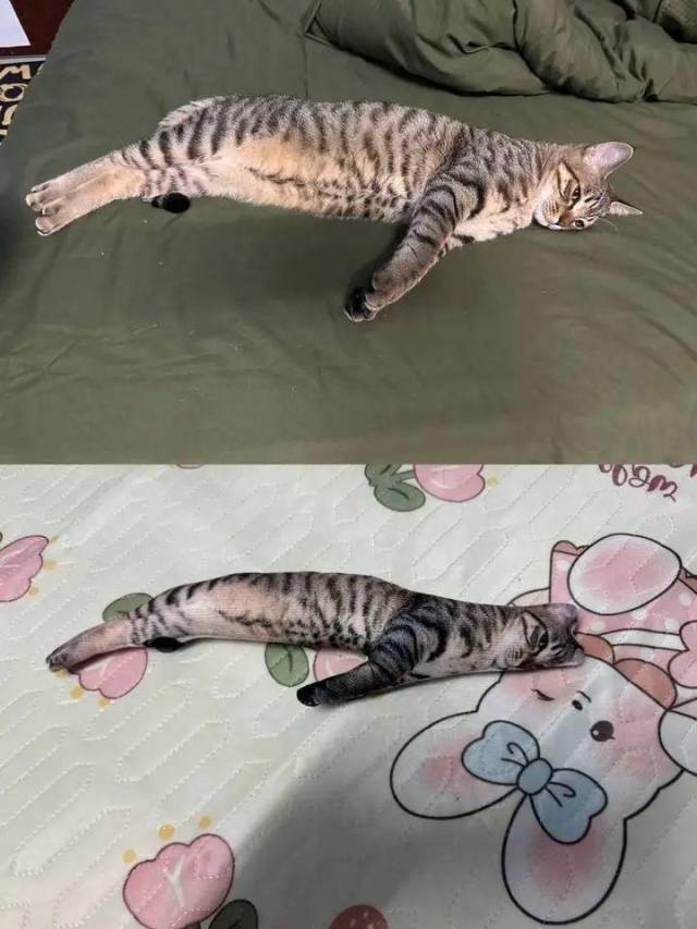 受访者供图