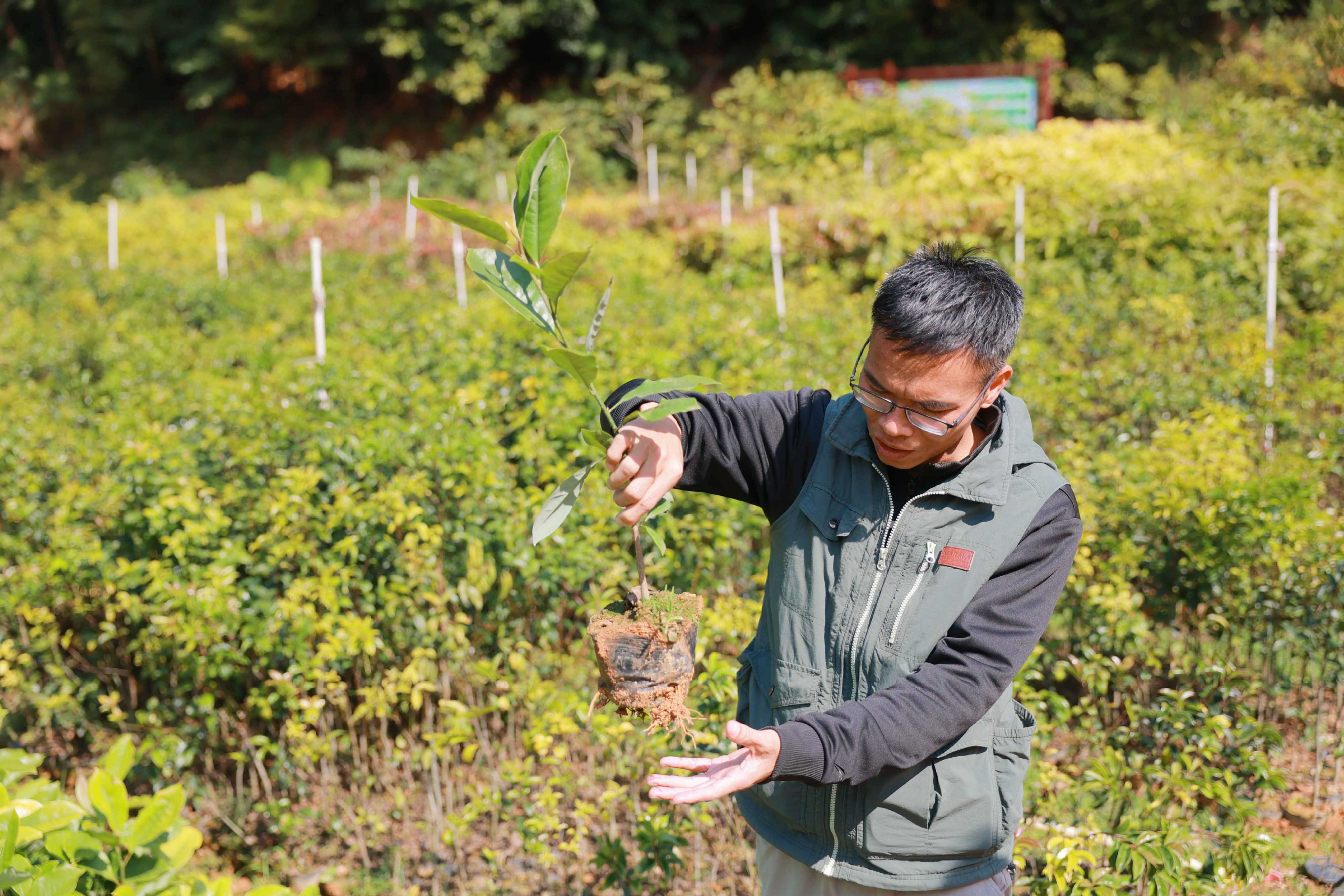新春走基层｜“育苗先锋”坚守一线近20年 春节继续守护苗木过寒冬