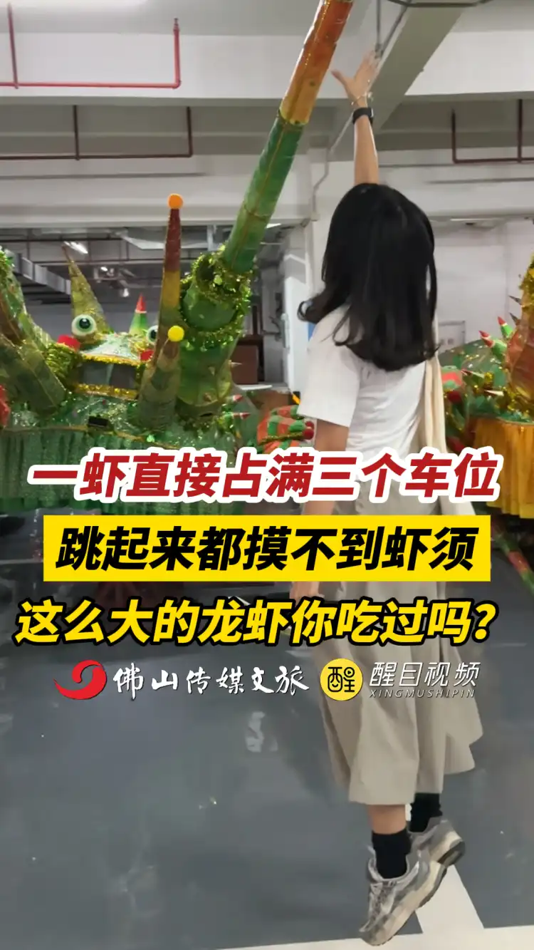 一虾直接占满三个车位 跳起来都摸不到虾须 这么大的龙虾你吃过吗？