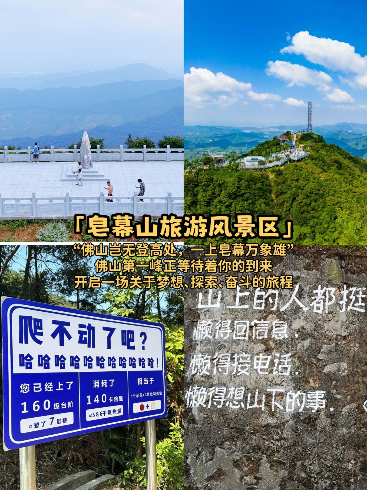 微信图片_20250125194502.jpg