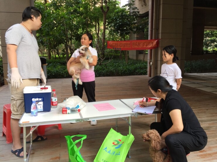 社区宣传文明养犬。(资料图片)