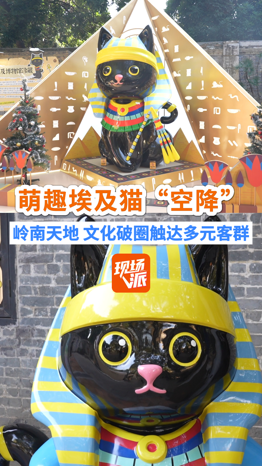 萌趣埃及猫“空降”佛山文化破圈触达多元客群