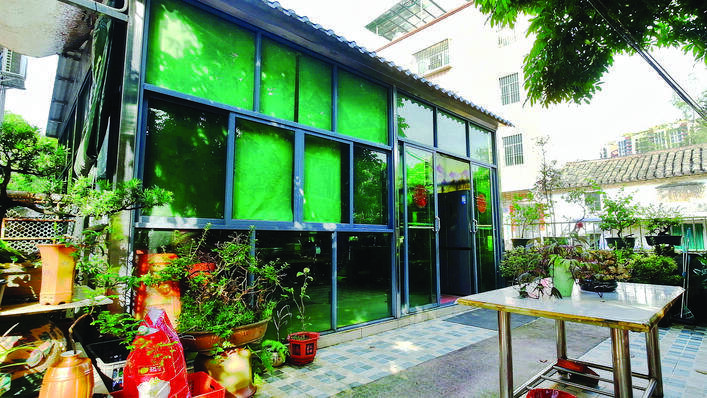 美丽庭院成“微型植物园”。