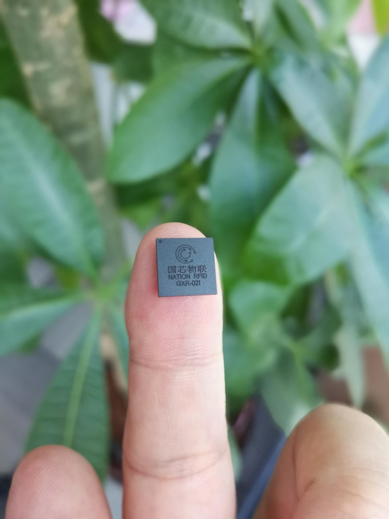 正在上传...