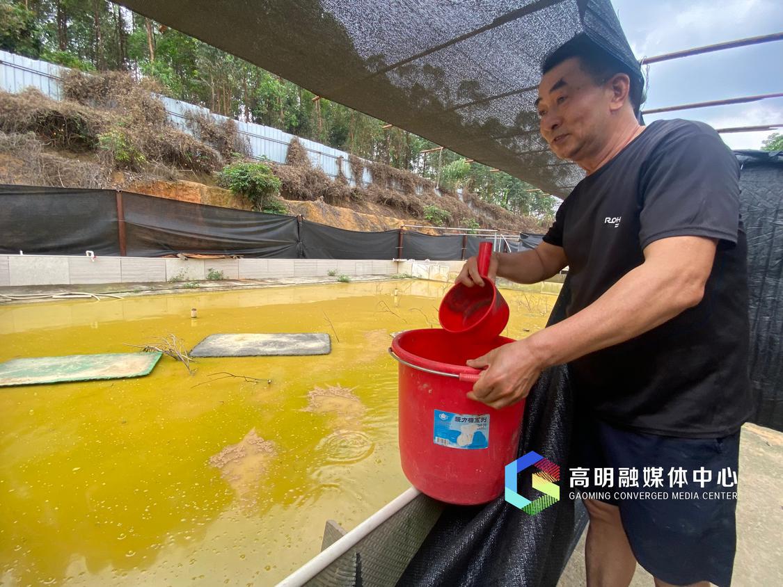 龟池喂食 任家文摄.jpg