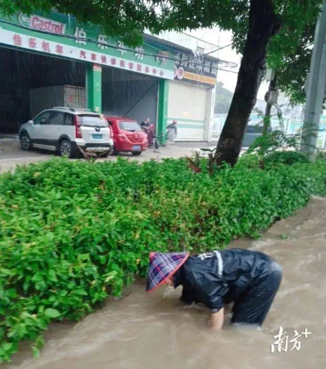 城管部门工作人员正巡查清除城区各排水井口及防蚊闸阻水障碍物。