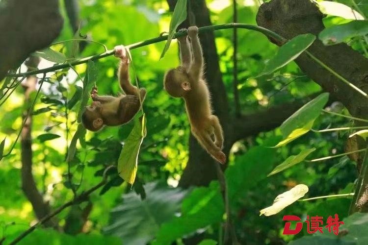 正在上传...