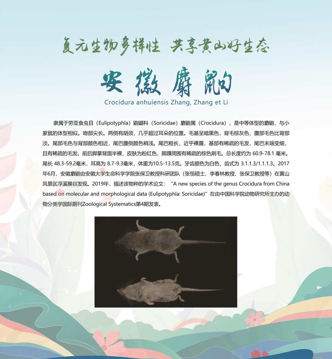 微信图片_20230520185642.jpg?x-oss-process=style/w10
