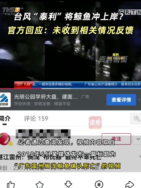 网传台风“泰利”将鲸鱼冲上岸？官方回应：未收到相关情况反馈