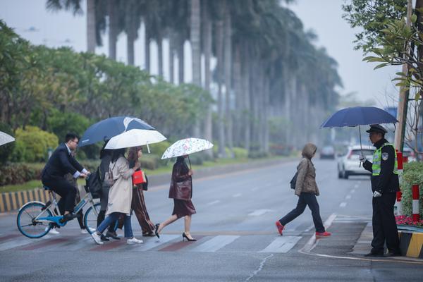 2019年12月30日早晨，南海桂城灯湖东路，天下起了蒙蒙细雨，上班族们纷纷撑伞出行。佛山日报记者 王伟楠摄