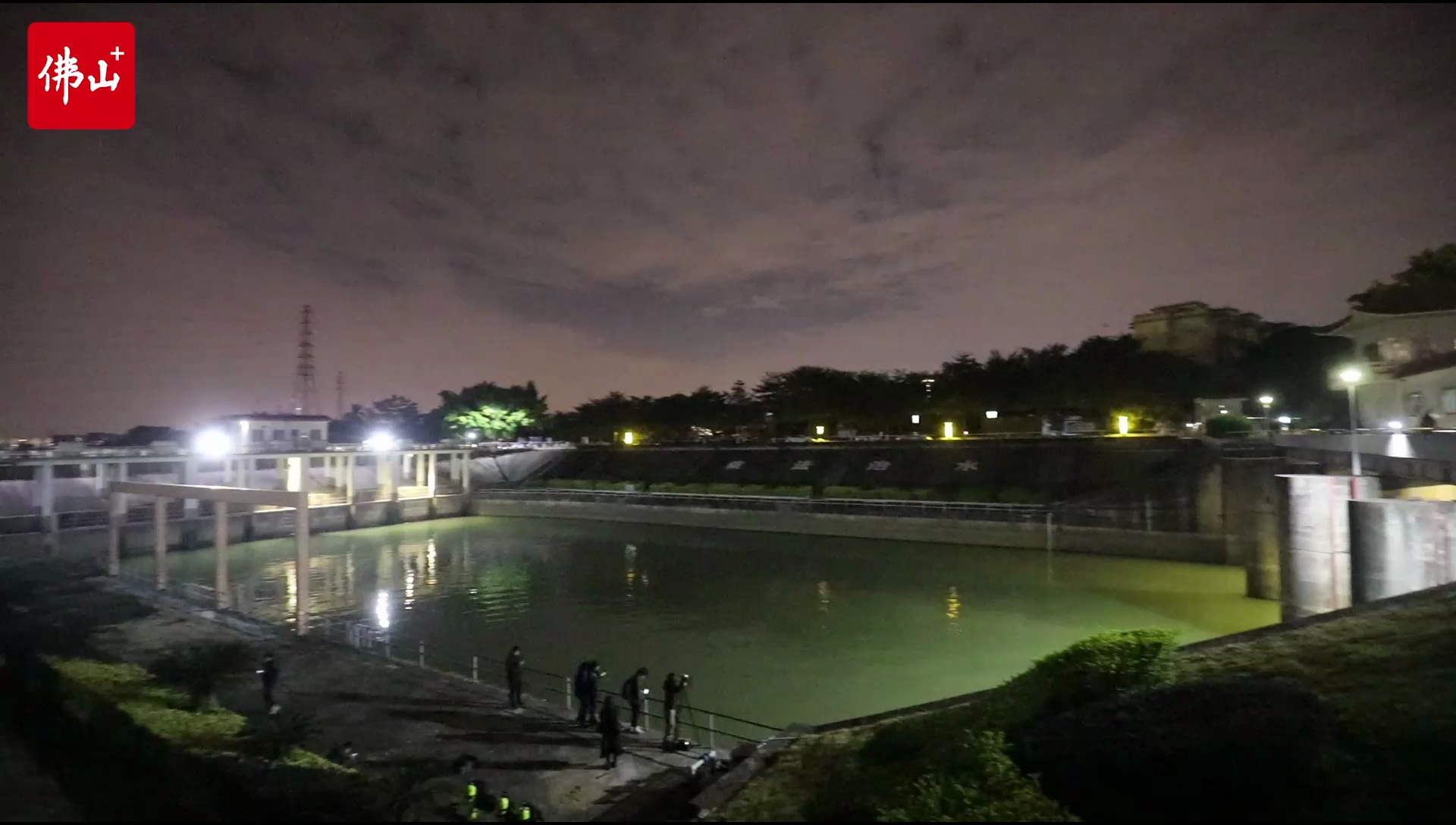 夜晚下的中华白海豚还很活跃。佛山日报记者王伟楠制作