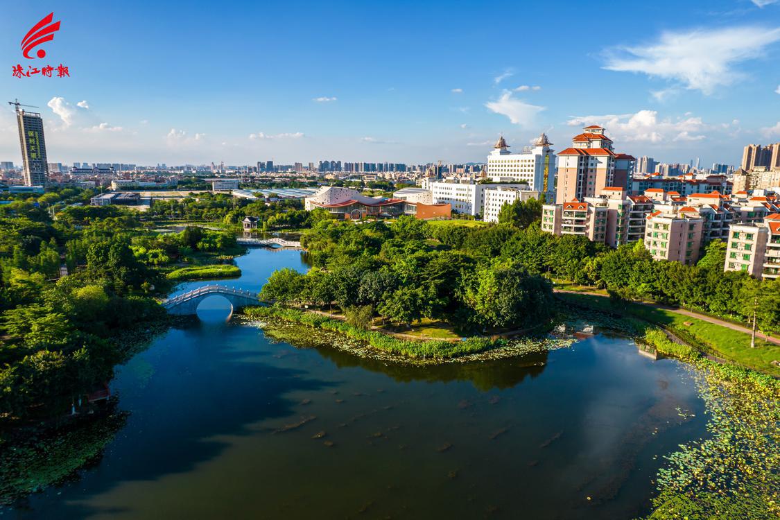 2020-2022年,映月湖片区吸引11家本土企业建总部。珠江时报全媒体记者黄永程摄。.jpg