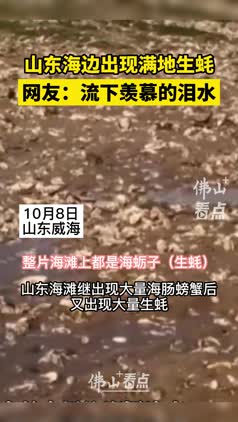 馋哭了！山东海滩继出现大量海肠螃蟹后，又出现大量生蚝
