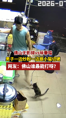 佛山无影脚vs咏春喵！男子一边炒粉一边跟小猫切磋，网友：佛山谁最能打呀？
