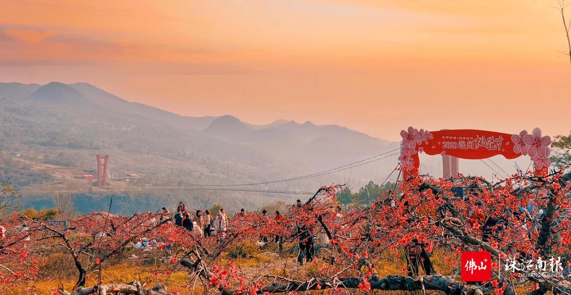 桃花节主会场湟川三峡-擎天玻璃桥举行.JPG