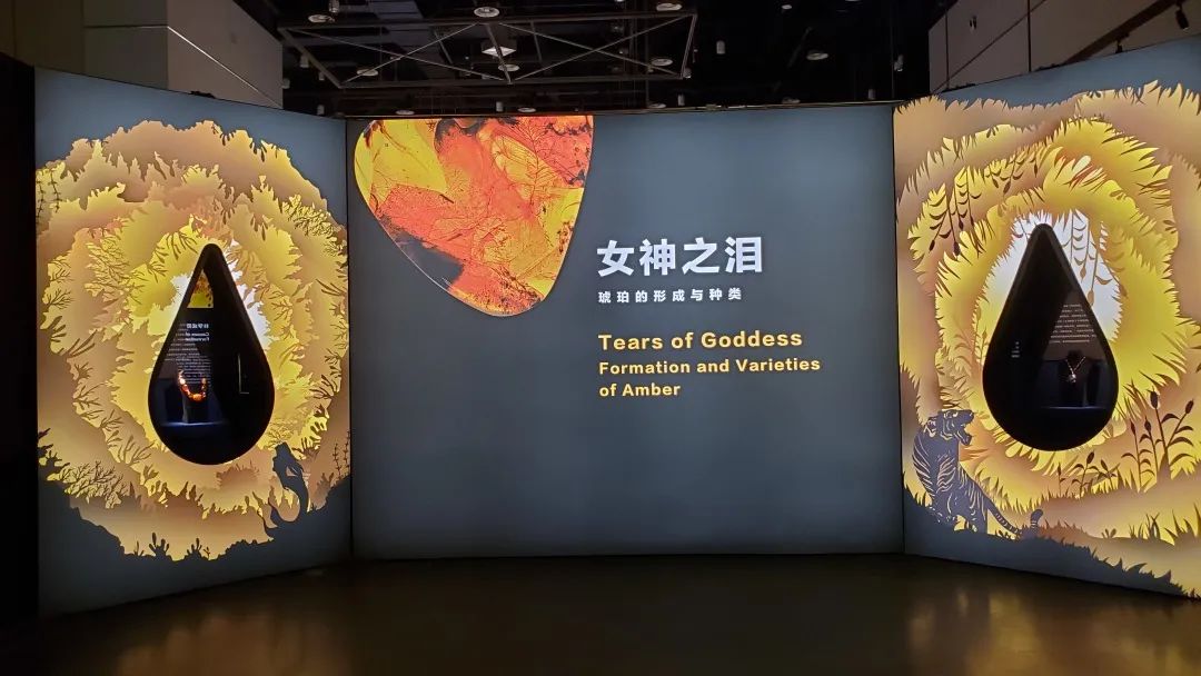 封面藏品:知隐博物馆馆藏琥珀原石现身正门大海报封面.jpg