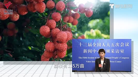 视频 | 高州“水果姐”两会分享家乡藏粮之“技”
