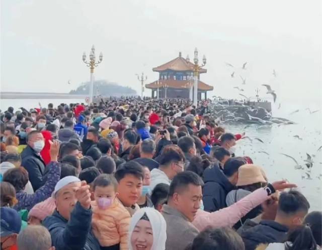 来源：网友@青岛土著 小地接