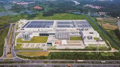 写在2025三水两会召开之际：大江向海，大潮向新