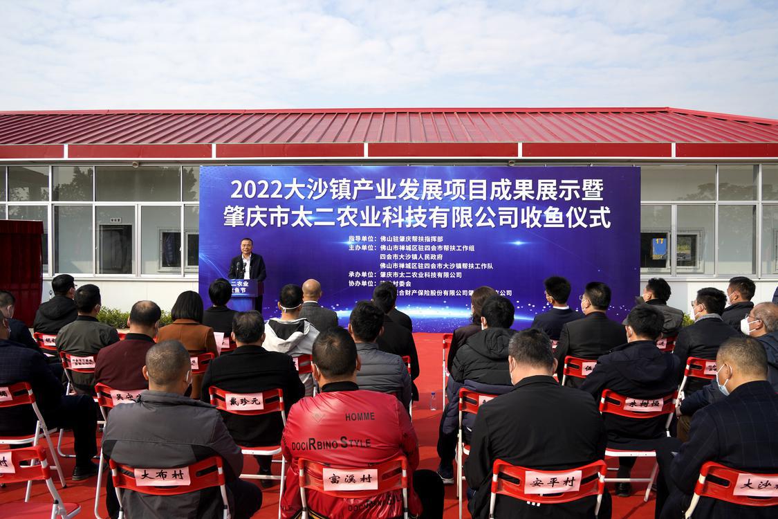 大沙镇举行2022产业发展项目成果展示暨肇庆市太二农业科技有限公司收鱼仪式现场.jpg