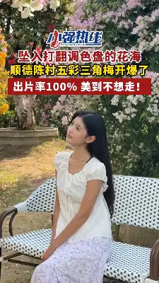 坠入打翻调色盘的花海！顺德陈村五彩三角梅开爆了，出片率100%，美到不想走！