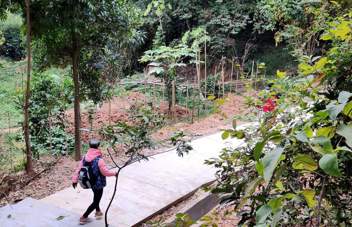 掩映在丛林的环山步道.jpg