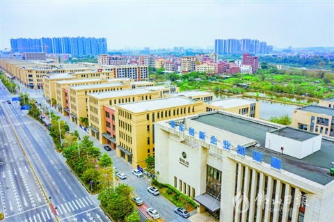 李宁3.jpg