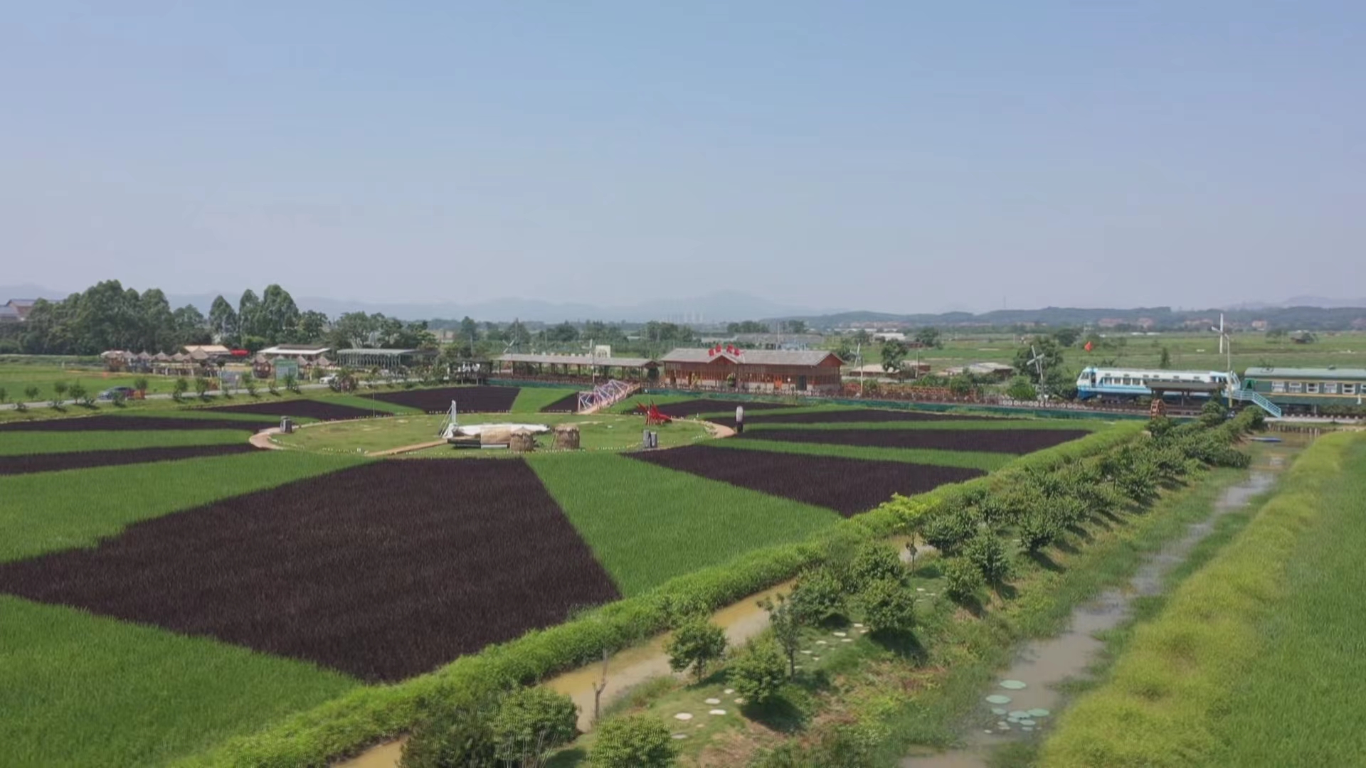 高明区万亩稻田航拍图。佛山市新闻传媒中心记者庞伟杰摄.jpg