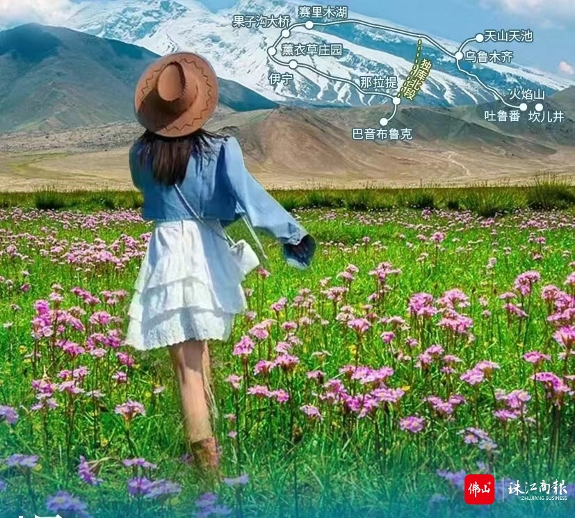 暑期新疆大草原鲜花盛开的季节.JPG