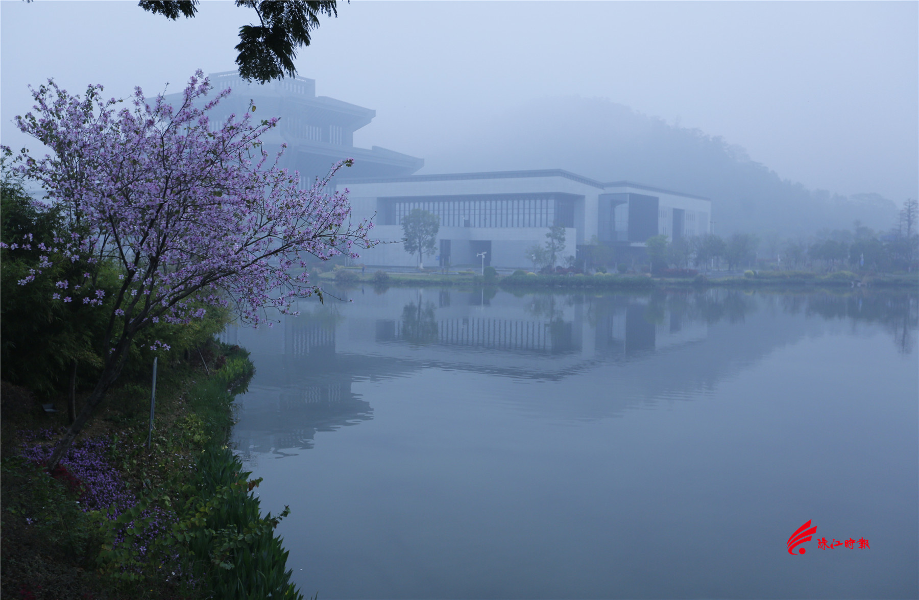 初夏的广东雨水渐多,潮湿多雾,这个时候来佛山市南海区西樵镇听音湖,会发现听音湖山雾迷蒙,变得更加温婉动人。(摄影:黄幼谦)