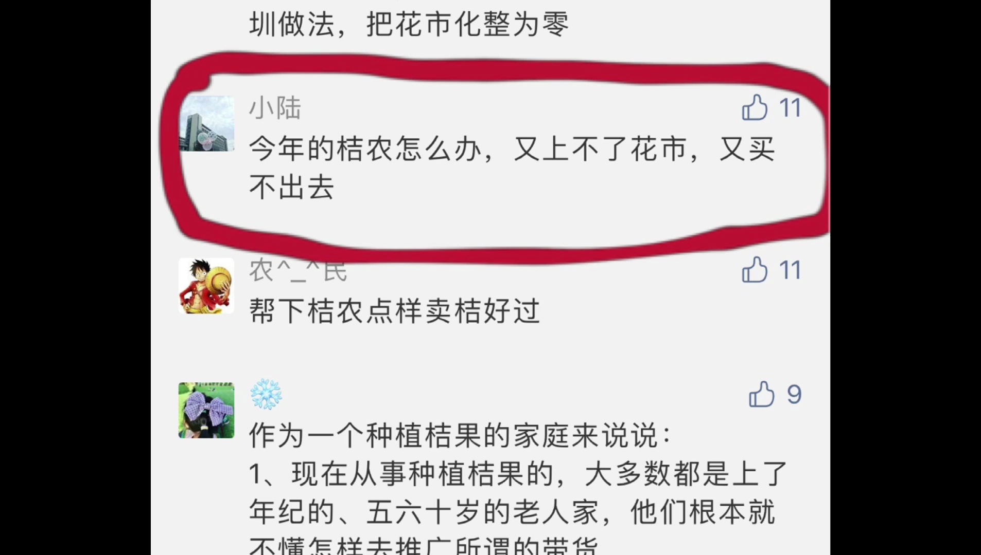 桔农陈婆婆喊你周日来买年桔助农!(佛山日报记者朱朝贵制作)