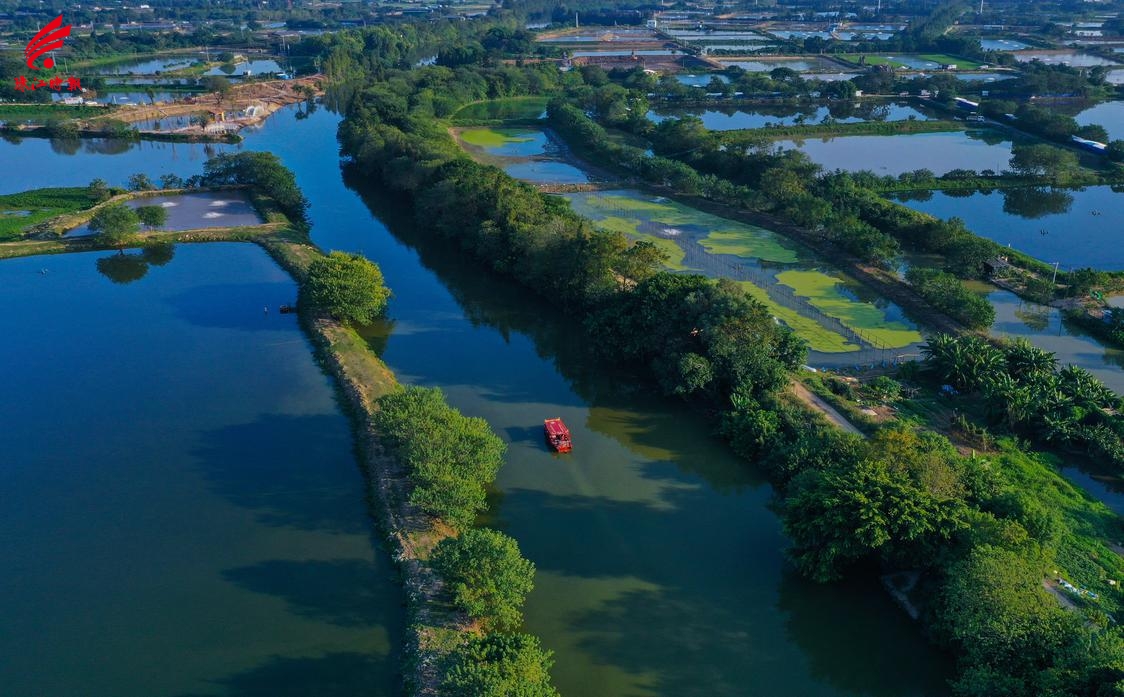 丹灶镇坚持水岸同治,实现“全域大美”。.jpg