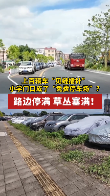 上百辆车“见缝插针”，小学门口成了“免费停车场”？路边停满、草丛塞满！