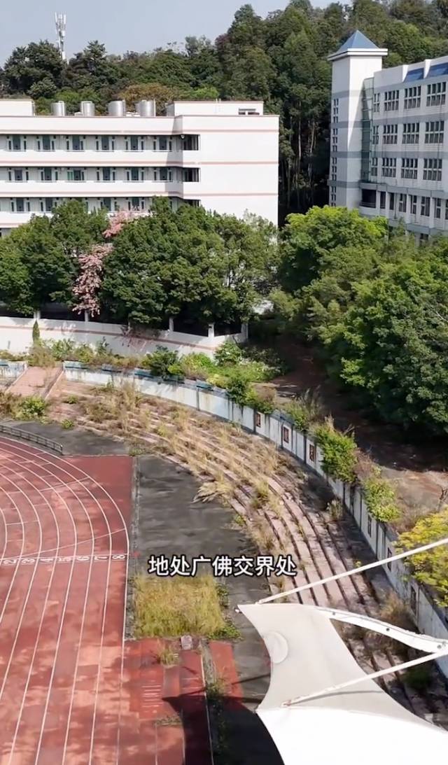 目前校园操场周边台阶上已杂草丛生。