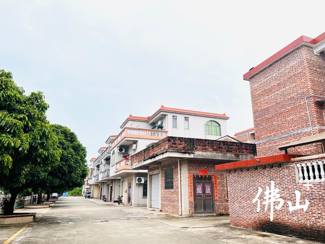 芦苞镇四联村通过实行积分制,村民自觉维护村容村貌,房前屋后干净整洁。.jpg