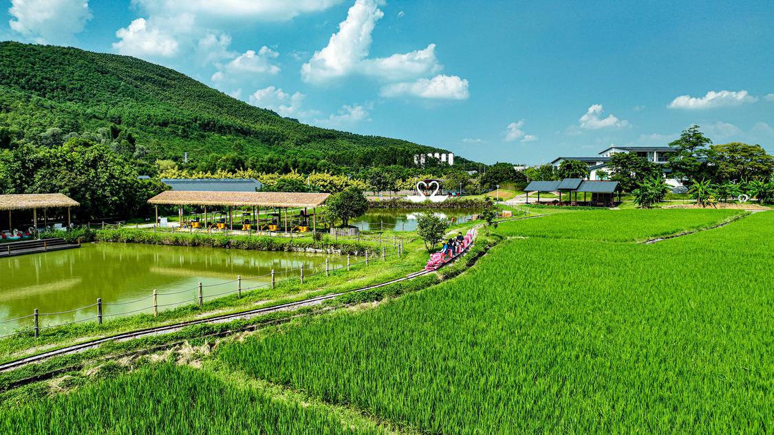 小qiu摄7.jpg