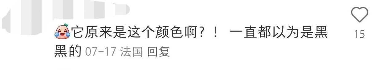 正在上传...