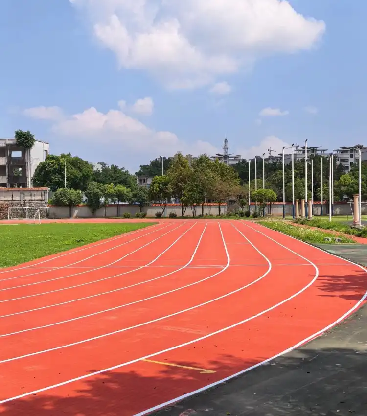 高明5所学校运动场升级改造,杨梅小学等3个项目完工投用