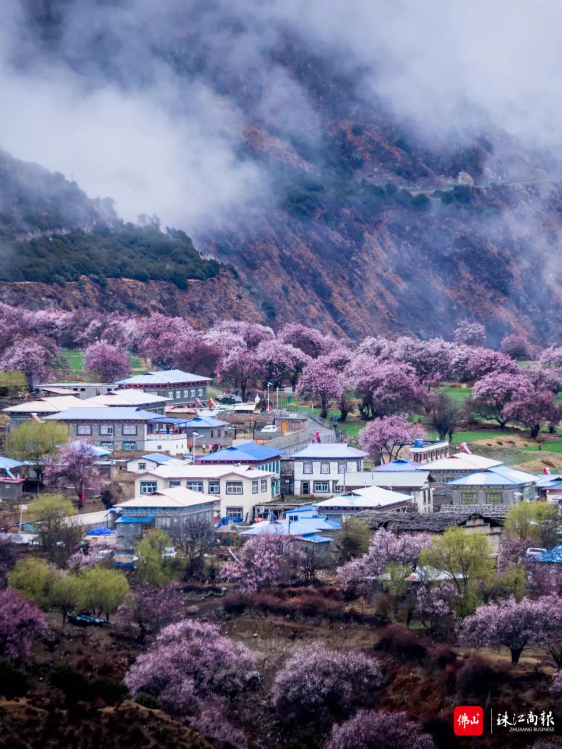 漫步雅江畔,寻梦桃花源.png