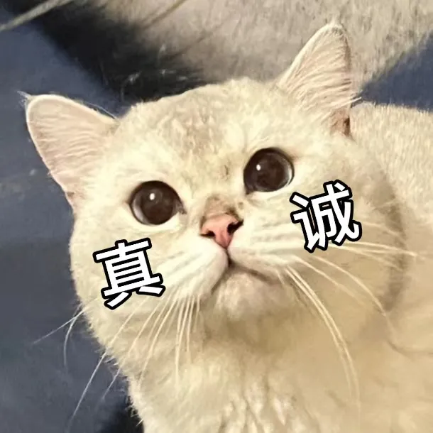 正在上传...