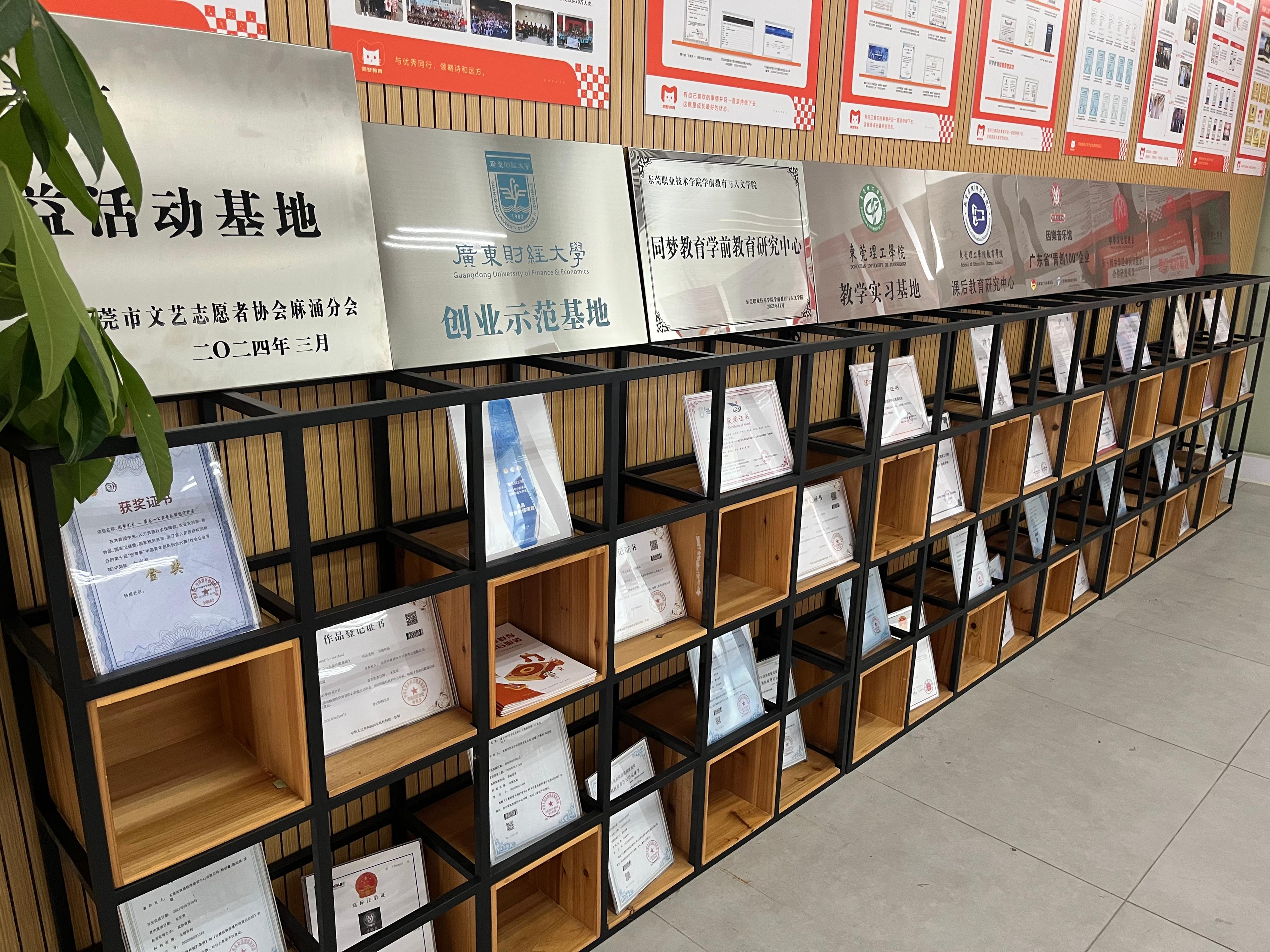 毕业季·莞故事①|同梦教育创始人沈聪：“无奈”地邂逅一份幸运