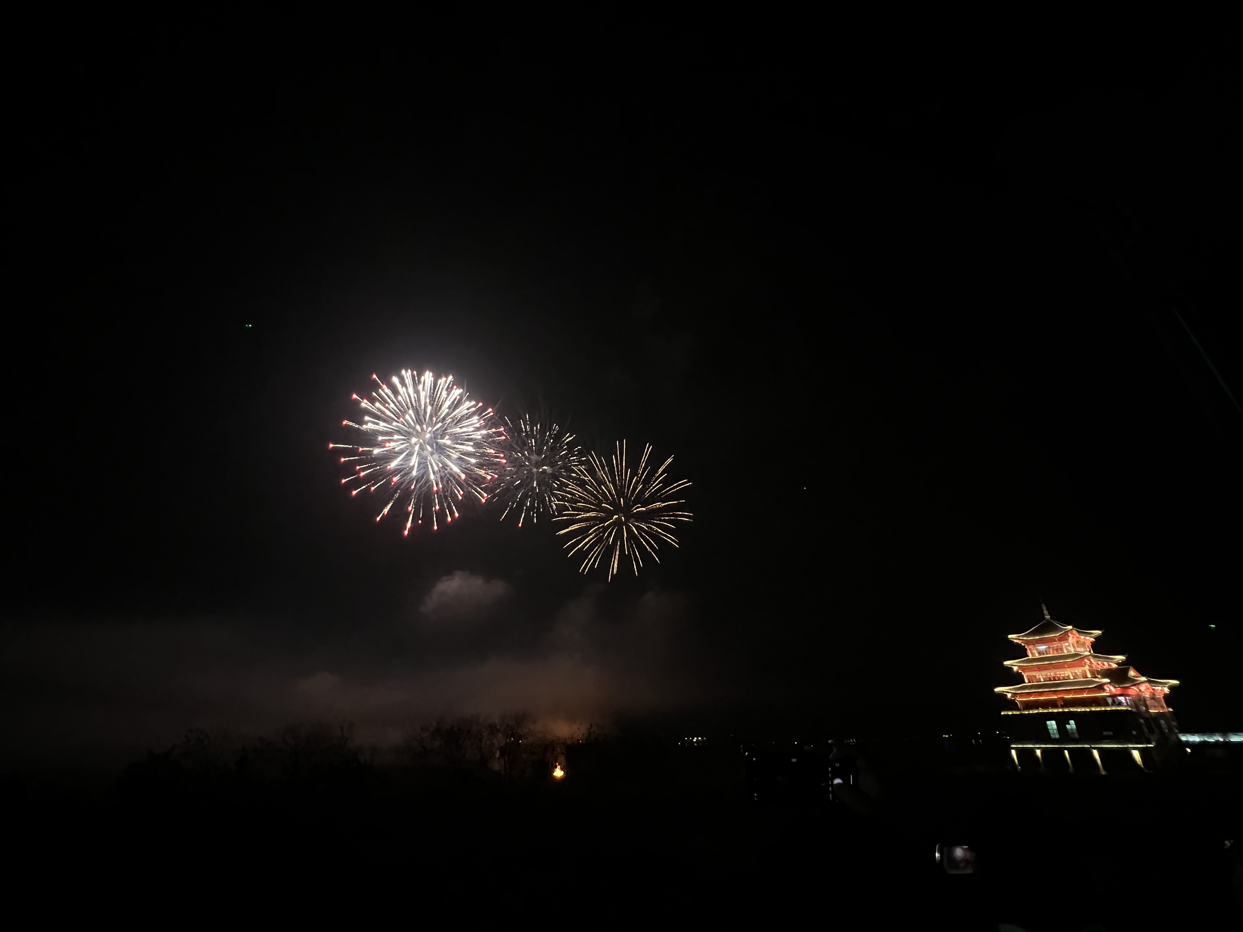 IMG_2923.jpeg
