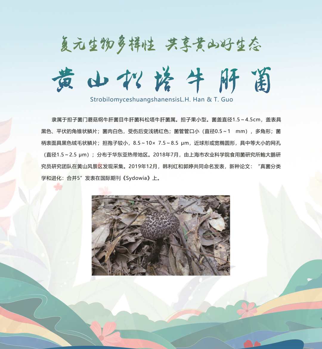 微信图片_20230520185647.jpg?x-oss-process=style/w10