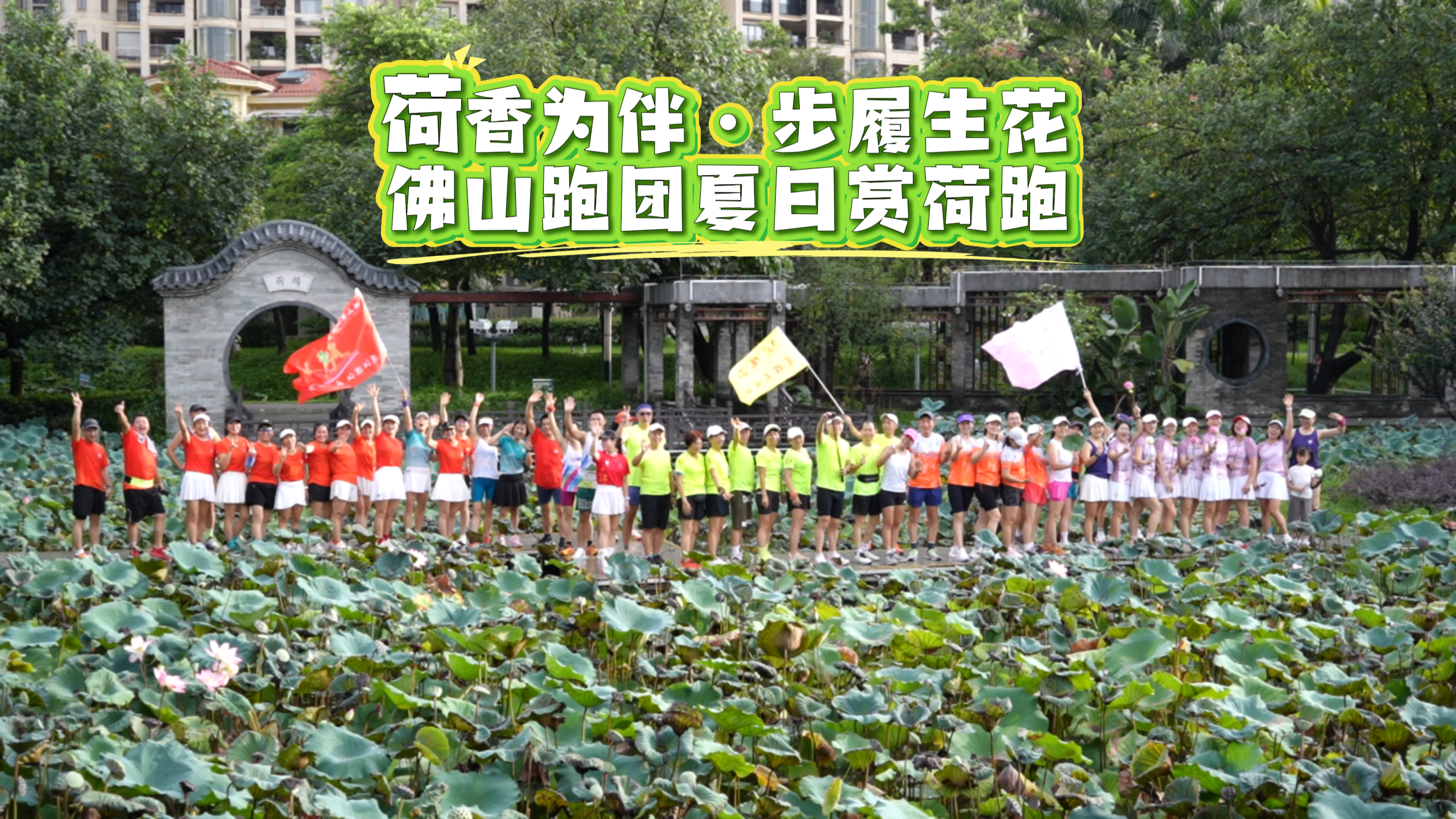 荷香为伴,步履生花,佛山跑团夏日赏荷跑
